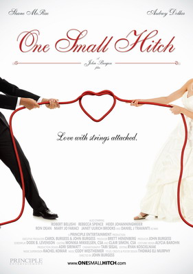 Помолвка понарошку / One Small Hitch (2013)