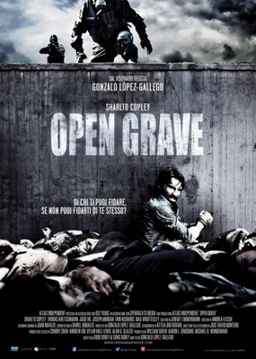  Открытая могила / Open Grave (2013) смотреть онлайн