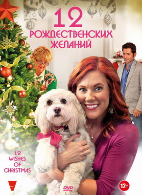12 Рождественских желаний / 12 Wishes of Christmas (2011) смотреть онлайн