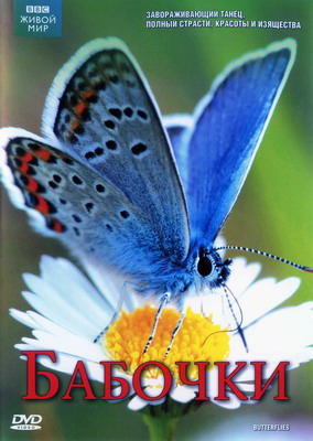 BBC: Мир природы. Бабочки / BBC: Natural World. Butterflies (2010) смотреть онлайн