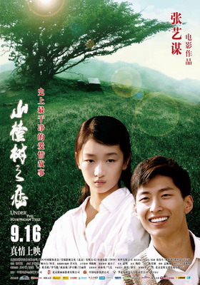 Под ветвями боярышника / Shan zha shu zhi lian / Under The Hawthorn Tree (2010) смотреть онлайн