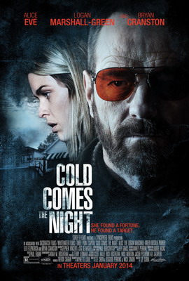 Взгляд зимы / Холод приходит ночью / Cold Comes the Night (2013) смотреть онлайн